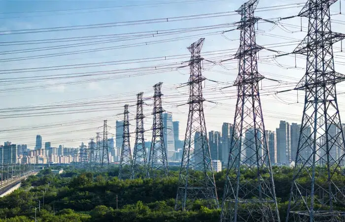 ACSR Cable for Power Trunk Circuit