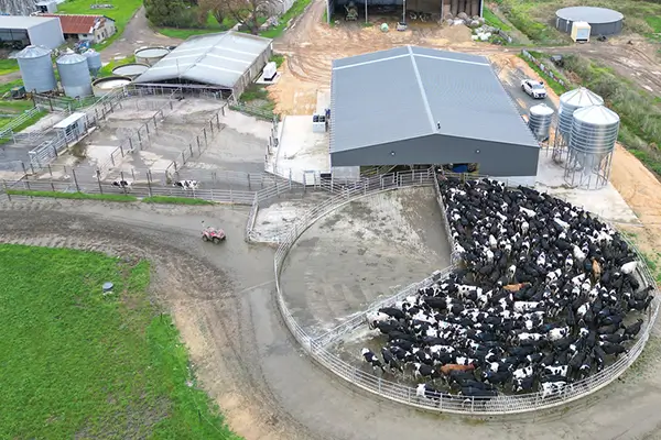 2022 Belize City Dairy Farm Renovation & New Housing Project