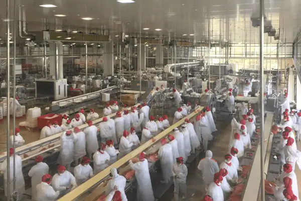 Chile Seafood Processing & Freezer Plant Project