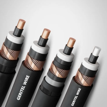 Samoa Transport Decarbonisation & EV Infrastructure Project (2023–2025)