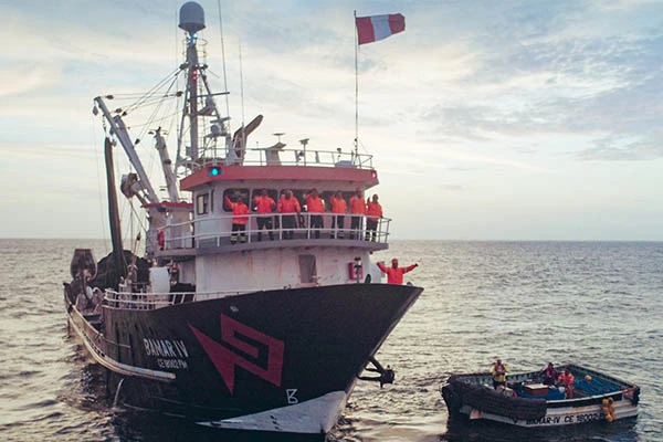 Peru Tambo de Mora Anchovy Processing Plant Project